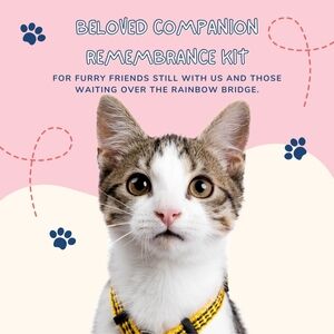 Beloved Companion Remembrance Kit for Cats; Suncatcher, Fur Storage Ornament
